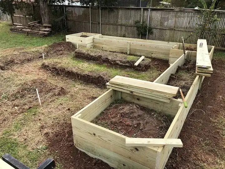 Wood raised garden bed frames being built